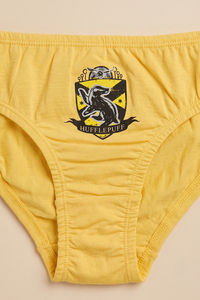 Zivame Girls Harry Potter Briefs (Pack of 2) - Multicolor — thumbnail 4